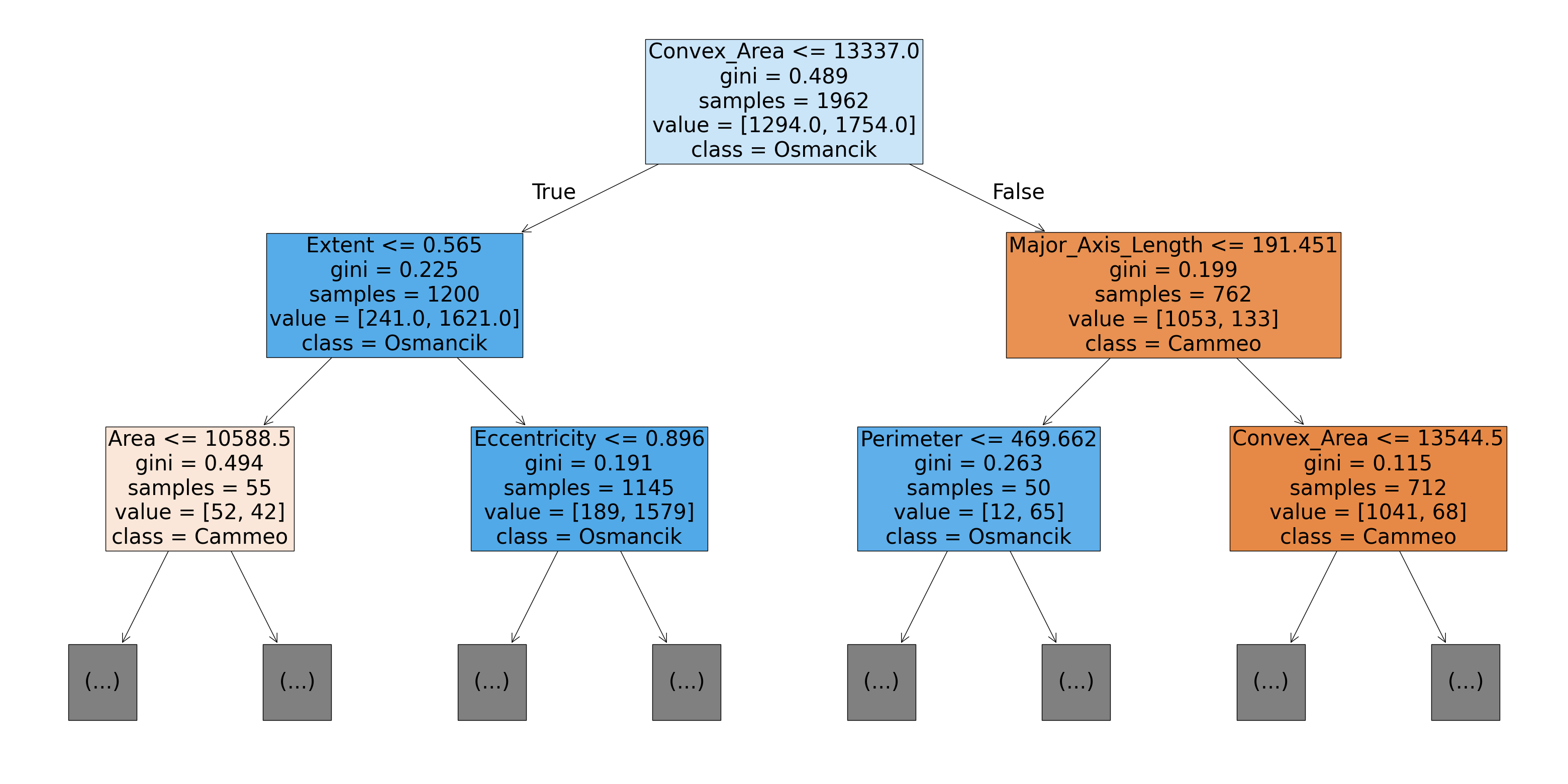 The structure of a decision tree